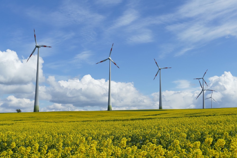 Grøn strøm fra vindmøller