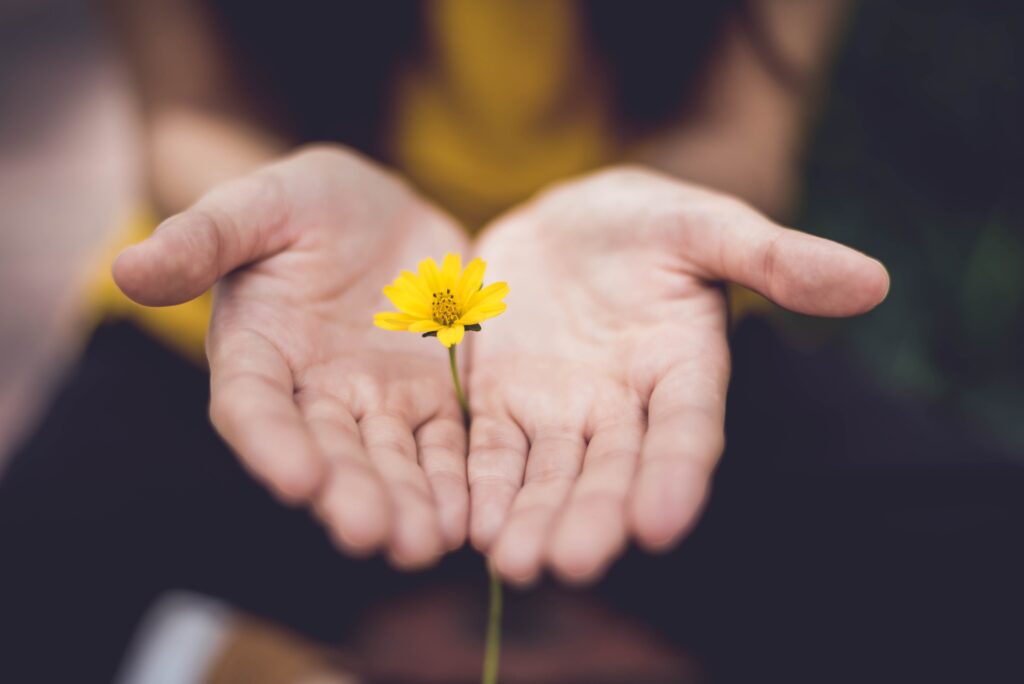 Pige med en blomst i hænderne - - Modstrøm – Modstrøm el